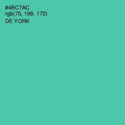 #4BC7AC - De York Color Image